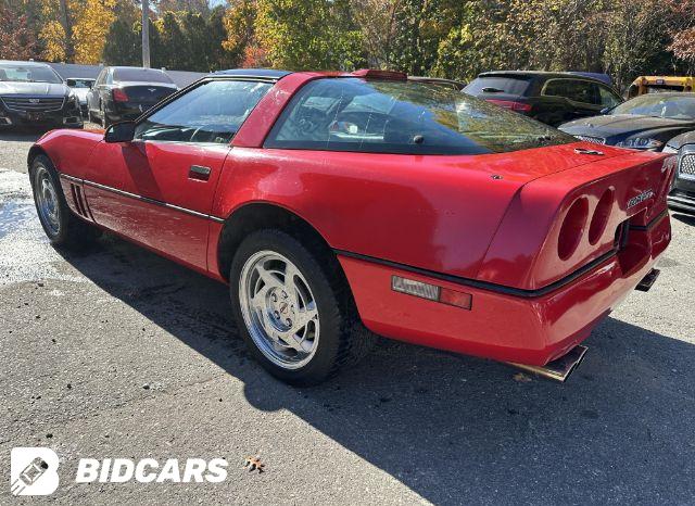 1G1YY2385L5119459 photo no. 3