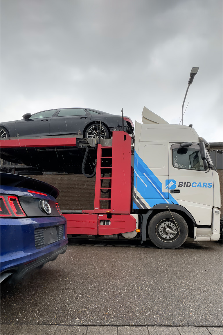 BidCars car shipping services